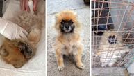 Iza gomile oglasa za "pufnaste" stoji ONA: Saška, simbol ženki koje rađaju skrivene, zanemarene i nevoljene