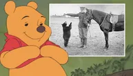 Medvedica Vinipeg, inspiracija Vinija Pua, bila je toliko pitoma da su deca ulazila u njen kavez u zoo-vrtu