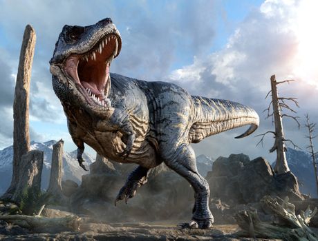 Tyrannosaurus rex ili ti-reks