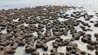 Drevni krateri nastali usled udara asteroida možda su podstakli razvoj života koji proizvodi kiseonik