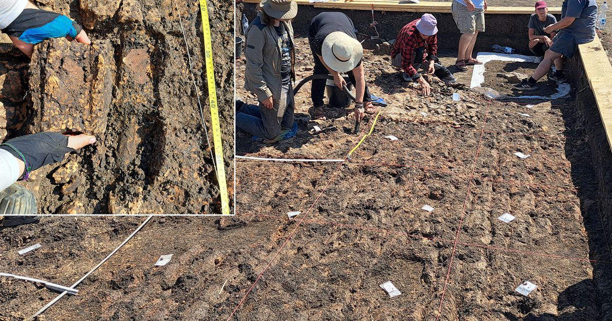 Mysterious MEGASTRUCTURE unearthed in Botoșani County: 'The object was built in a specific way'