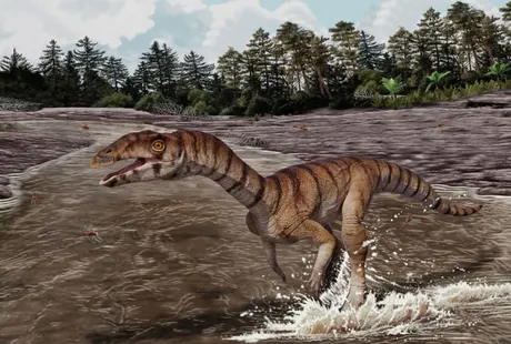 Labrujasuchus expectatus