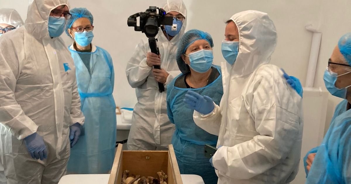 В Королевском монастыре открыто 8 гробниц: исследован скелет могущественной королевы XIV века