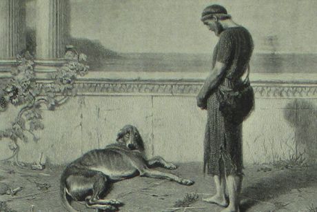 Odisej , pas Argos