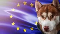 Putovanje bez titar testa od 19. juna 2026: Uredba zvanično objavljena u Službenom glasniku EU