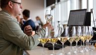 Srpska vina zabeležila istorijski uspeh na Decanter World Wine Awards-u: Osvojila čak 149 medalja