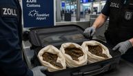 Tri žive zmije pronađene u koferu putnika na aerodromu u Frankfurtu