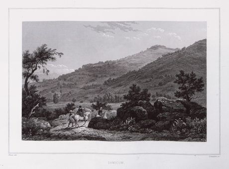 Samikon