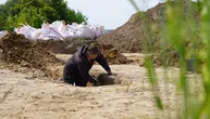 Vikinzi nisu bili samo horde varvarskih ratnika: Arheolozi otkrili veliki centar za proizvodnju tekstila