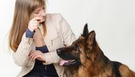 Kako mladi ljudi danas biraju psa: Poštuju tradiciju, novac nebitan, OVO je njihova najpoželjnija rasa