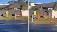 Nil se vratio u okean: Boravak destruktivnog morskog slona na Tasmaniji izazvao pravu pometnju i raspravu