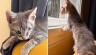 Pirat ima samo jedno oko, ali srce mu je ogromno: Hoće li ovoga puta neko videti baš njega?