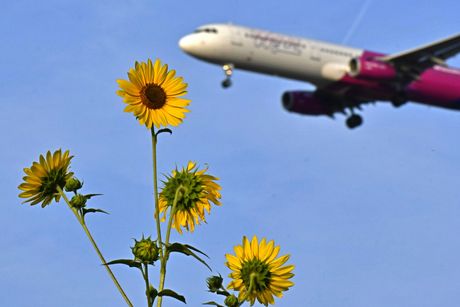 Wizz Air Airbus A321, suncokret