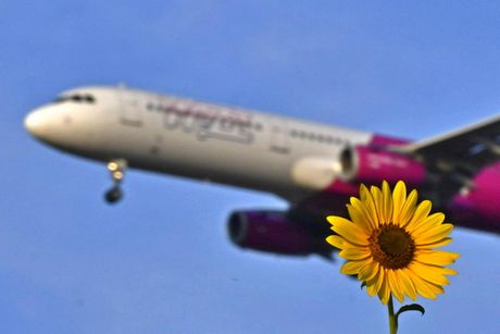 Wizz Air Airbus A321, suncokret