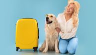 Veliki psi konačno mogu u kabinu: Ovo su DVA TROŠKA i OBAVEZE koje treba ispuniti za let sa ITA Airways
