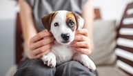 Prva nedelja sa psom često nije kao iz bajke: Ovih PET GREŠAKA prave skoro svi vlasnici početnici