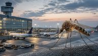 Dvojica radnika aerodroma Frankfurt umrla od malarije, sumnja se da je komarac stigao avionom