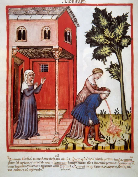 Povraćanje Tacuinum Sanitatis