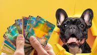 Francuski buldog za Pokemon kartu? Kolekcionari traže zabranu trgovine životinjama na sajmovima