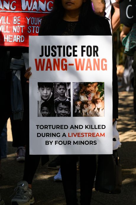 Vang Vang pas