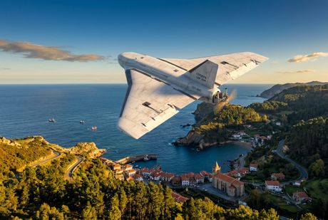 Gebera dron, AI generisana ilustracija