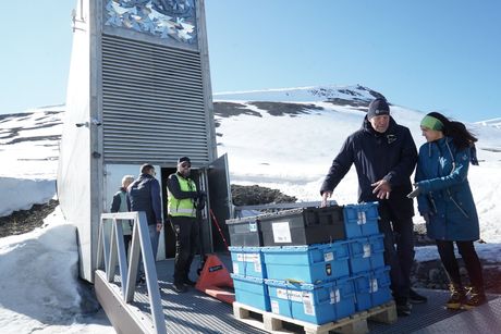 Svalbard, trezor sudnjeg dana