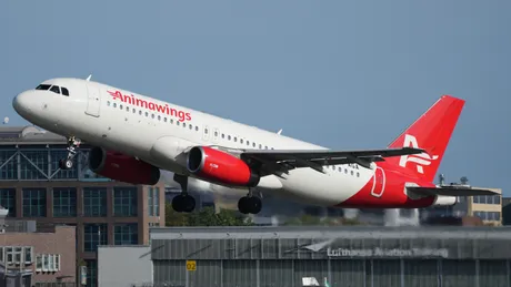 AnimaWings Airbus A320
