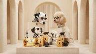 Dog Star i Dog Spa, čisti hedonizam za šape: Luksuzni proizvodi za negu pasa razgrabljeni u rekordnom roku
