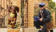 Zaplakao je kad ga je umesto psa dočekao vlasnik: Poštar dobio poklon koji nikad neće zaboraviti