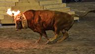Zapalili mu rogove i presekli glasne žice da ne čuju krike: Polvorin, bik koji je preživeo "toro embolado"