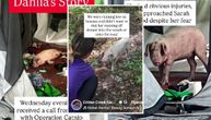 Od krpelja iz šume do lubenice i valjanja u blatu: Roze beba Dalija Banana spasena iz napuštenog šatora