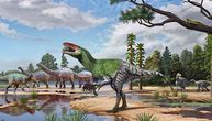 Fosil pronađen 1924. bio je potpuno zaboravljen: Novi pregled otkrio novu vrstu dinosaurusa mesoždera
