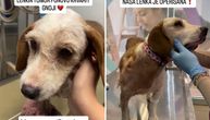 Lenka preživela očnog crva i četiri metka i nosila nekoliko tumora: Sada joj je život dao novu šansu