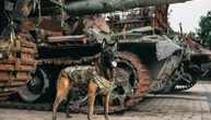 Warhound najavio revoluciju: Stižu genetski modifikovani vojni psi, odgovnost za njih snosi isključivo kupac