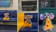Vlasnica ga obukla u kostim njujorškog pacova: Pas se provozao metroom, oborio mreže i oduševio svet