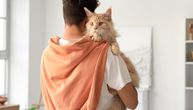Mejn kun zauzima pola kreveta, izbacuje "trilove" i sa vlasnikom završava još jednu kućnu obavezu